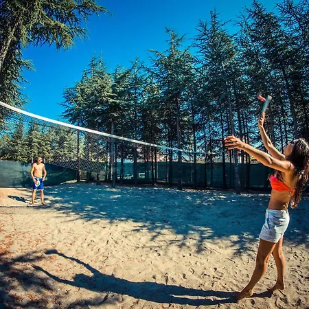 Апартаменты Crown Club